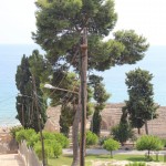 Roman Amphitheatre in Tarragona, Catalonia, Spain