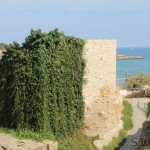 Roman Amphitheatre in Tarragona, Catalonia, Spain