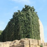 Roman Amphitheatre in Tarragona, Catalonia, Spain