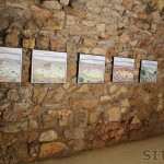 Roman Amphitheatre in Tarragona, Catalonia, Spain