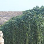 Roman Amphitheatre in Tarragona, Catalonia, Spain