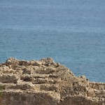 Roman Amphitheatre in Tarragona, Catalonia, Spain